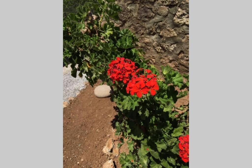 Gerani Maison Agios Aimilianos Beautiful View Πόρτο Χέλι Εξωτερικό φωτογραφία